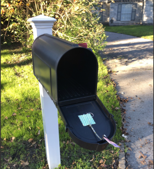 My-Mail-Flag (Patent Pending)